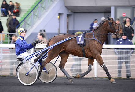 Actualités Hippiques